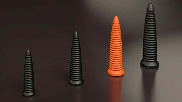 Dildo Castor
